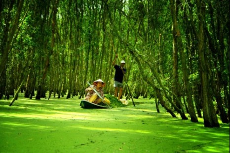 Tour Du Lịch Mùa Nước Nổi 3 Ngày 2 Đêm (Long An - Đồng Tháp - Châu Đốc)